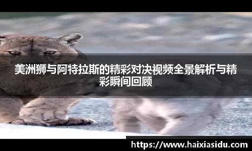 彩神Vi首页