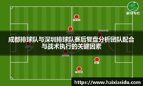 成都排球队与深圳排球队赛后复盘分析团队配合与战术执行的关键因素