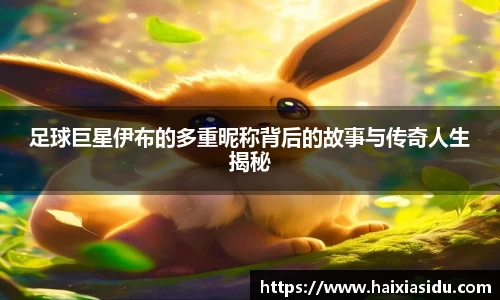 足球巨星伊布的多重昵称背后的故事与传奇人生揭秘